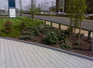 External Landscaping Before External Landscaping Before