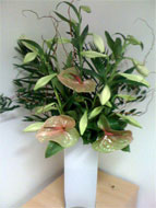 Fresh flowers for the office in London and Central London