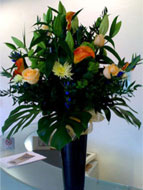 Fresh Flowers for the office in Sussex