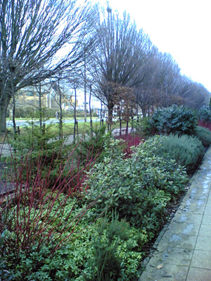 External Office Landscaping External Office Landscaping