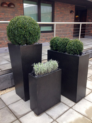 Innovative Planters and Sculptured Planting