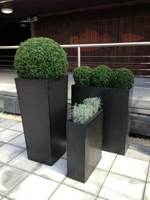 Innovative Planters and Sculptured Planting