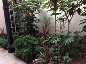 Office Garden Landscaping Before Office Garden Landscaping Before