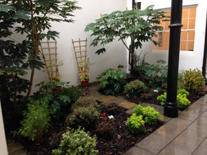 Office Garden Landscaping After Office Garden Landscaping After