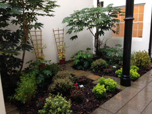 Office Garden Landscaping After