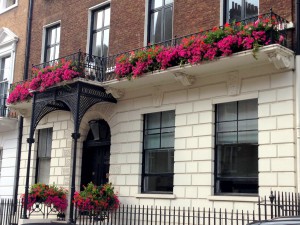 Window boxes, Mayfair, London