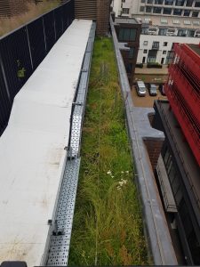 London Office Garden Landscaping
