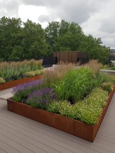 London Office Rooftop Garden Landscaping