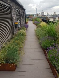 London Rooftop Garden