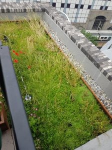 Office Landscaping in London
