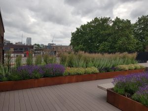 Roof Terrace Landscape Garden in London