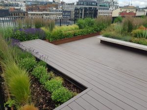 Roof-top Garden for London Office